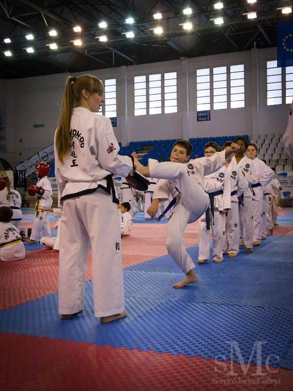 DIA DEL TAEKWONDO ABRIL 2017_3676.JPG